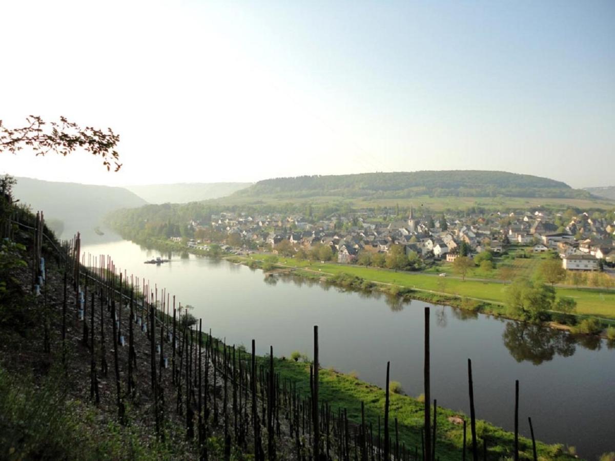 Wein & Wohngut Paulushof Hotel Pünderich Екстериор снимка